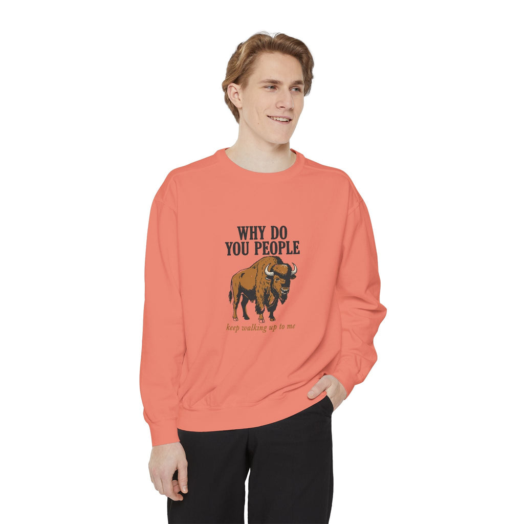 Why Sweatshirt
