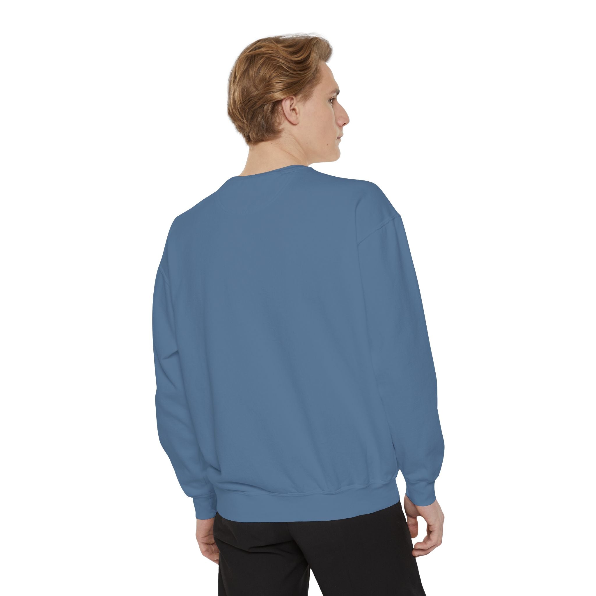 Why Sweatshirt