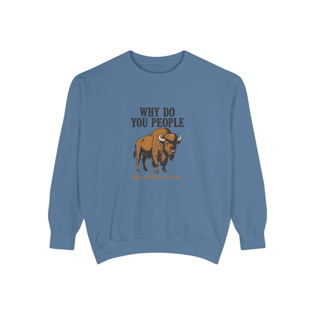 Why Sweatshirt
