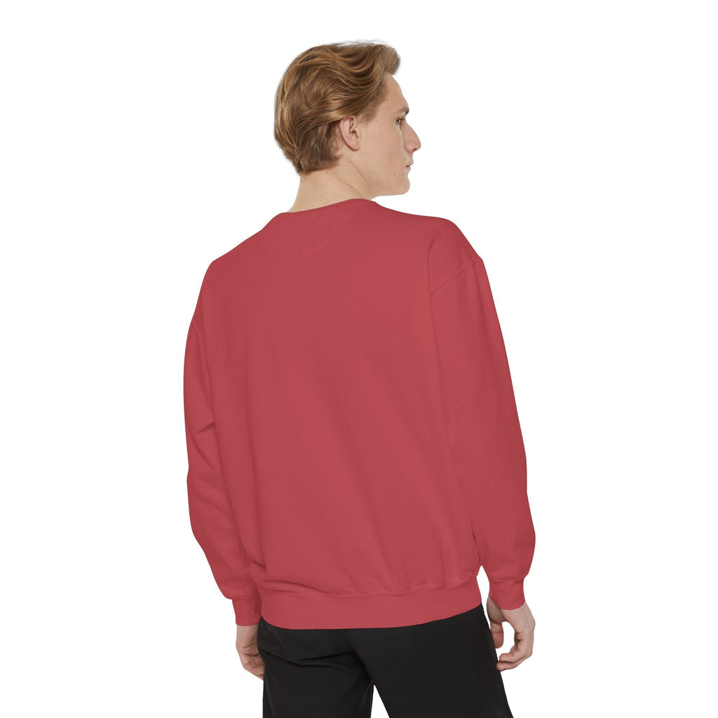 Why Sweatshirt