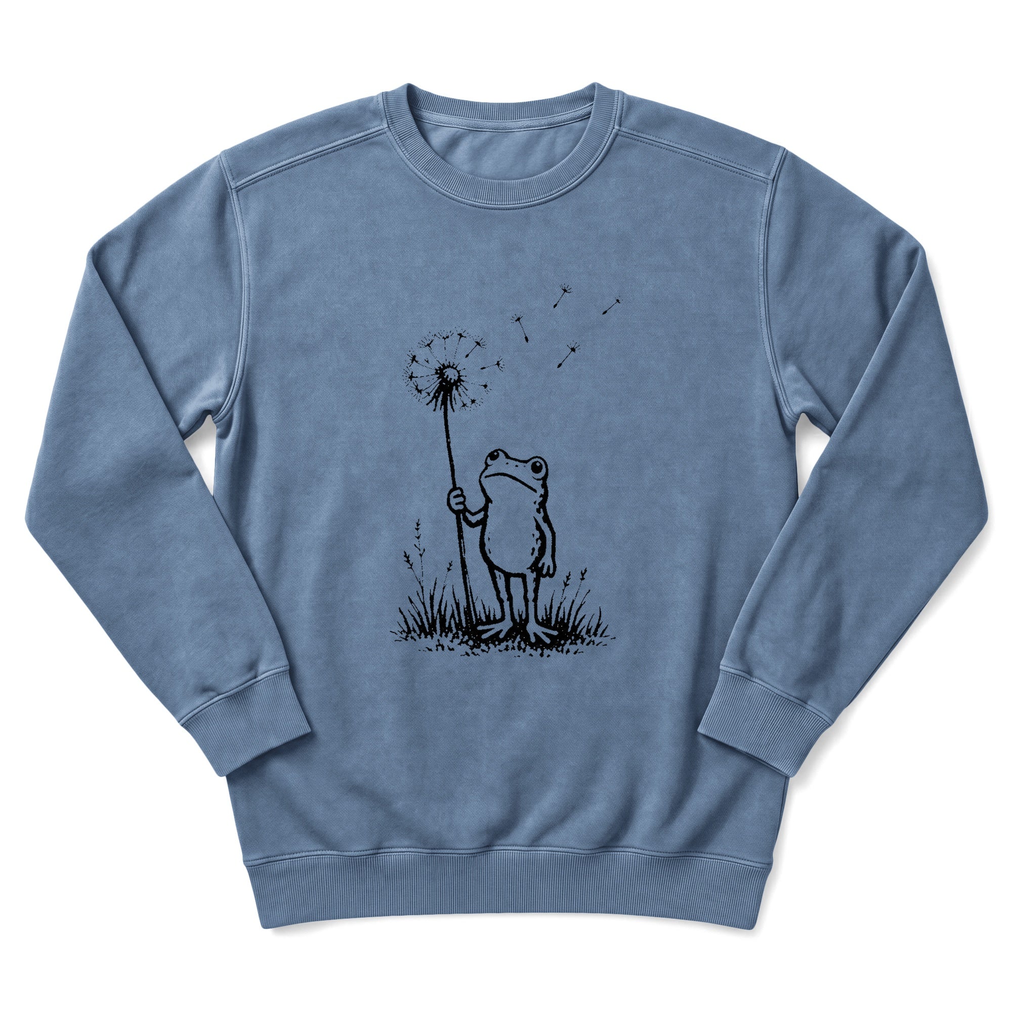 Make A Wish, Ribbit Sweatshirt