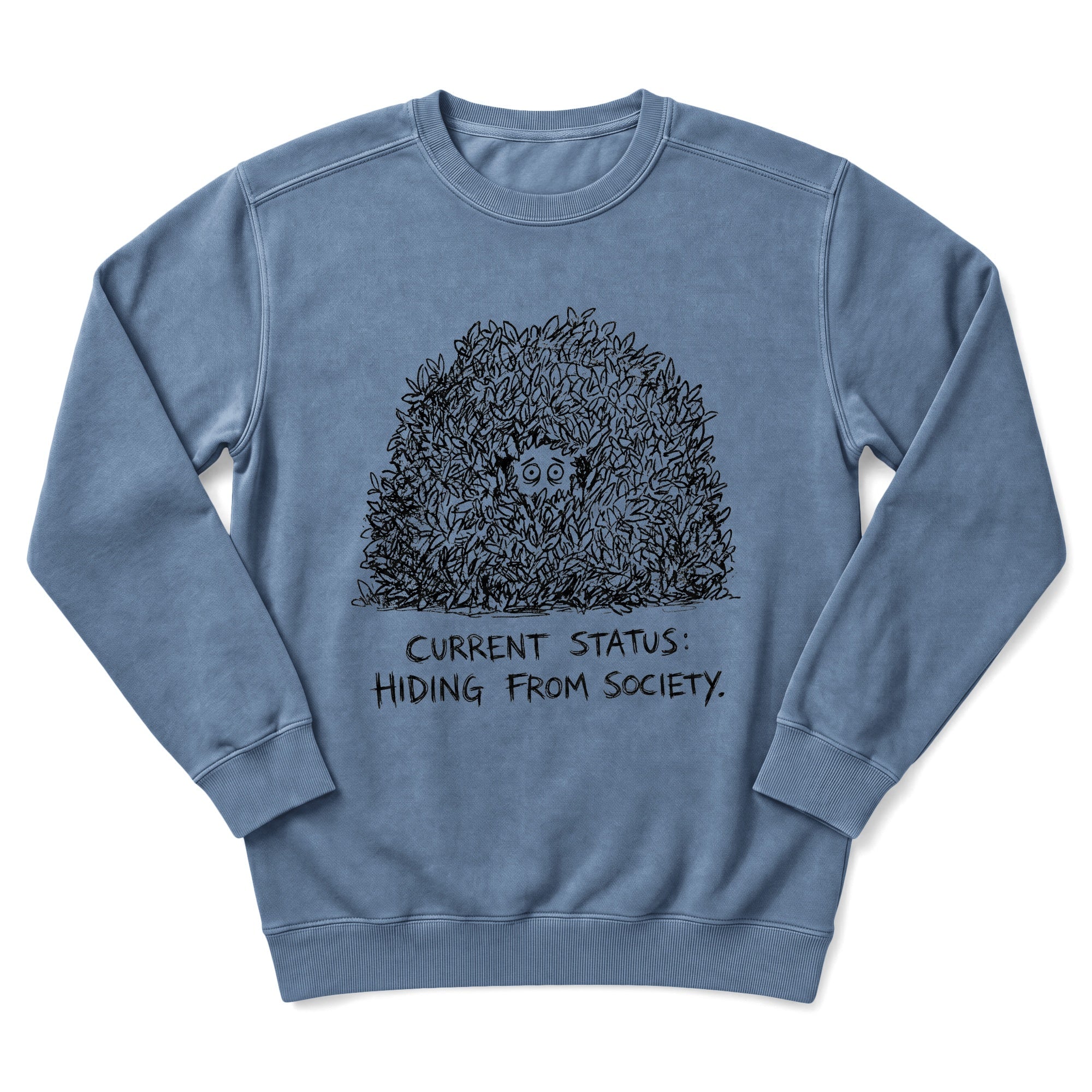 Hiding Sweatshirt